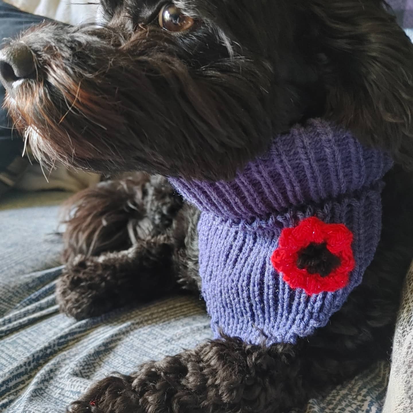 Puppy bandanas made to order